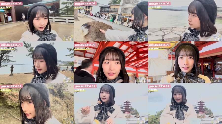 240122-STU-LABO 【Webstream】240122 STU LABO Sayagorou Animal Kingdom Part 11 (Takao Sayaka)