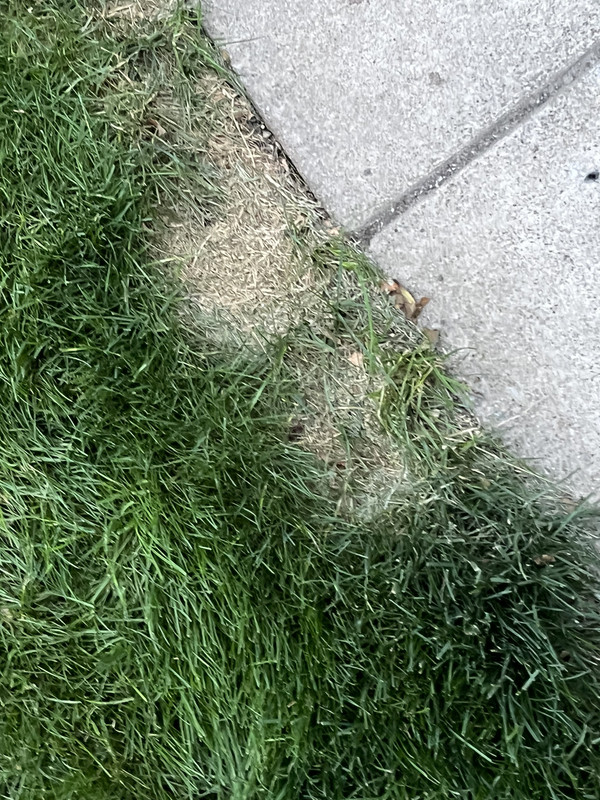 9898B0F6-3145-4C9B-8F03-FF153650AA05