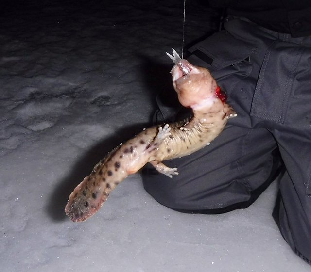 AEAD8C91-1C60-404F-B16A-5F96E589FF0A