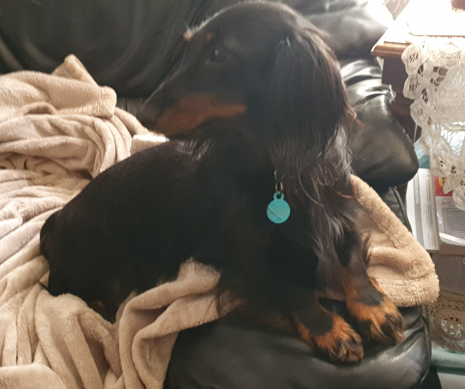 [Image: 20221002-175549.jpg]