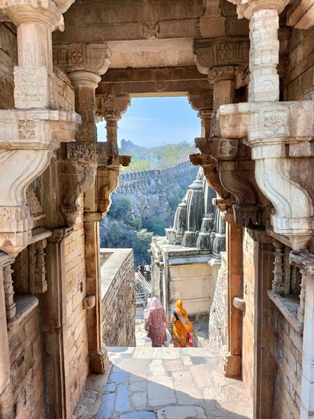 https://i.postimg.cc/rygTJt4t/Chittorgarh-(87).jpg