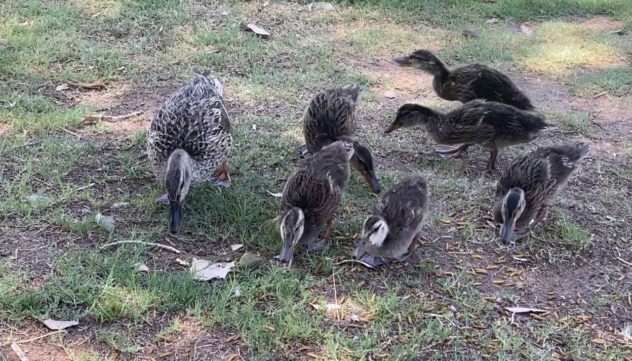 39F76666-B187-4565-BDE2-6D3BD0325355