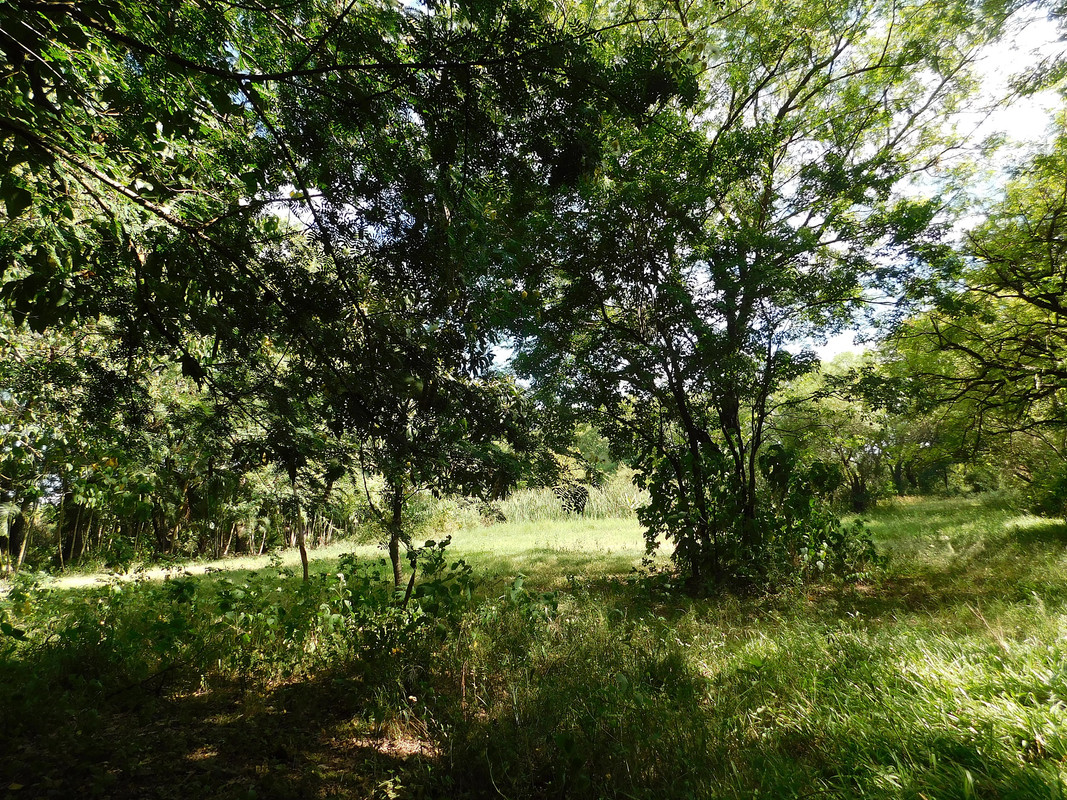 DSCN0422.jpg