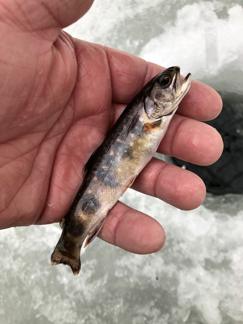 5D00B350-ED59-459B-8011-D0C56E34B7BC