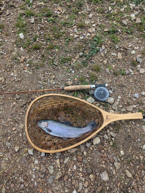 PXL_20250715_124243139