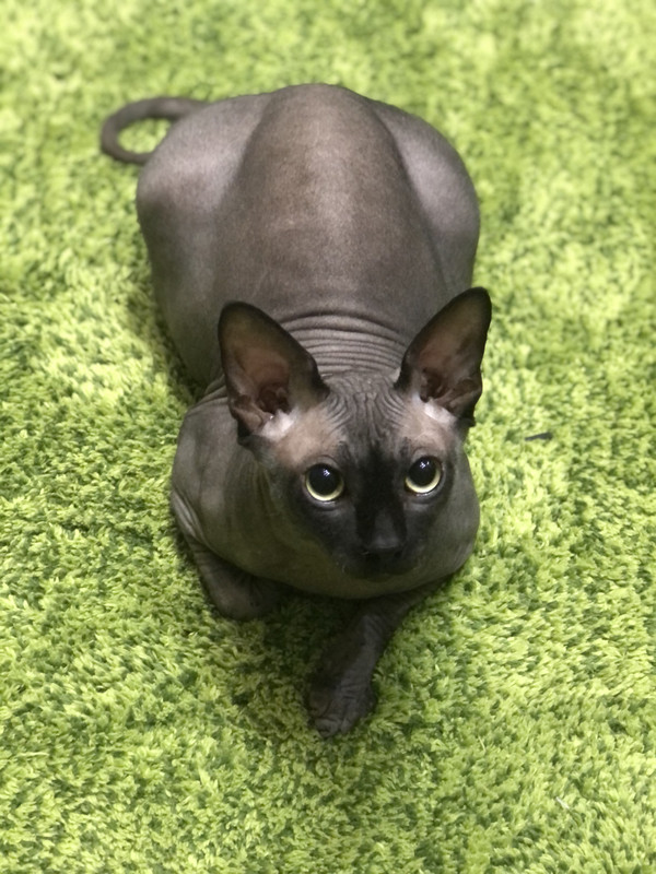 40DA6E82-5153-41D7-80A0-6A5194FC4587