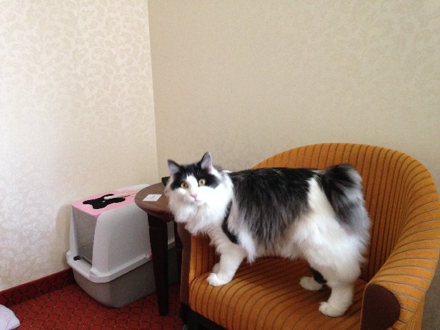 7-AE8052-E-D7-E6-4-EAC-8-EC3-80-D2005-FD