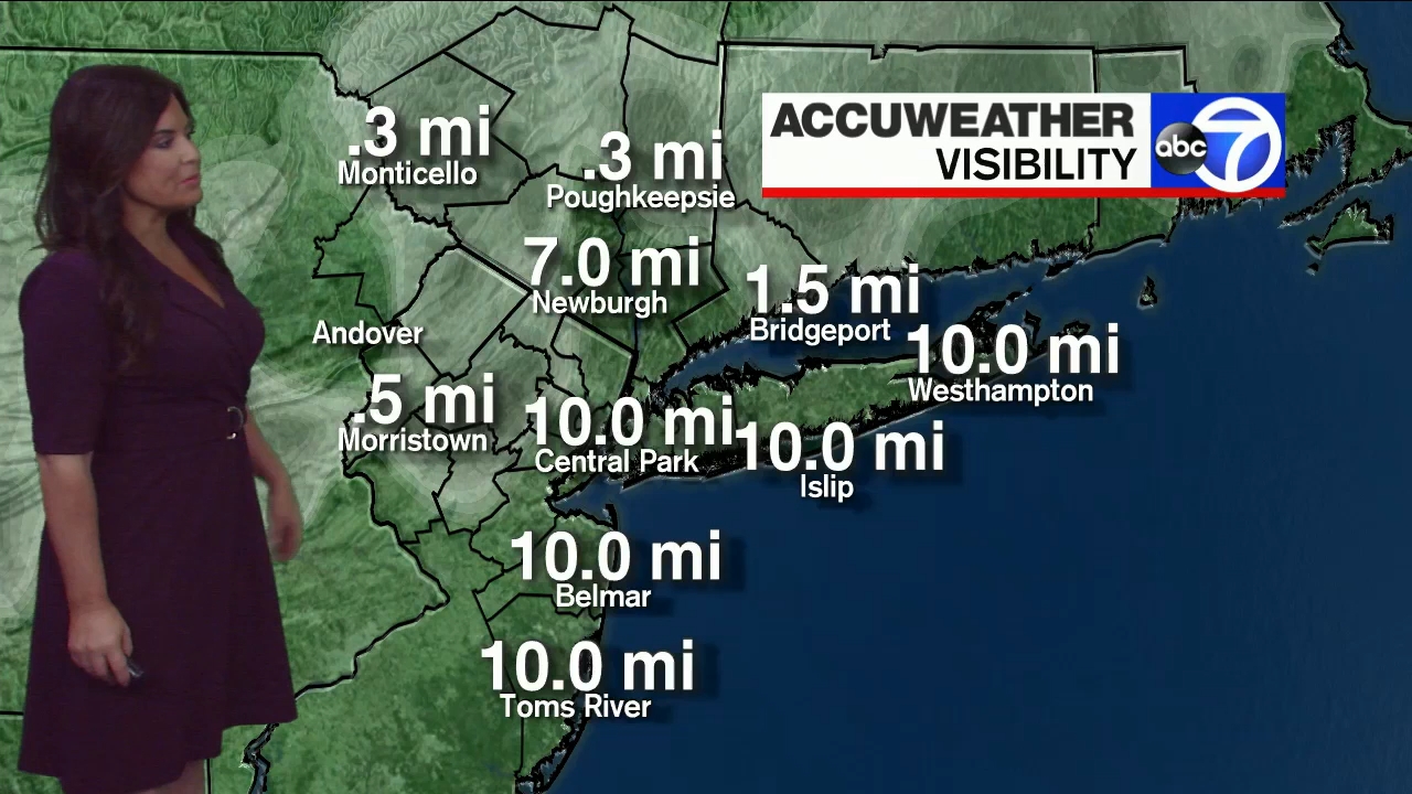 12.13 - 11.00.00 - Eyewitness News Sunday Morning..ts_snapshot_00.02.41.405