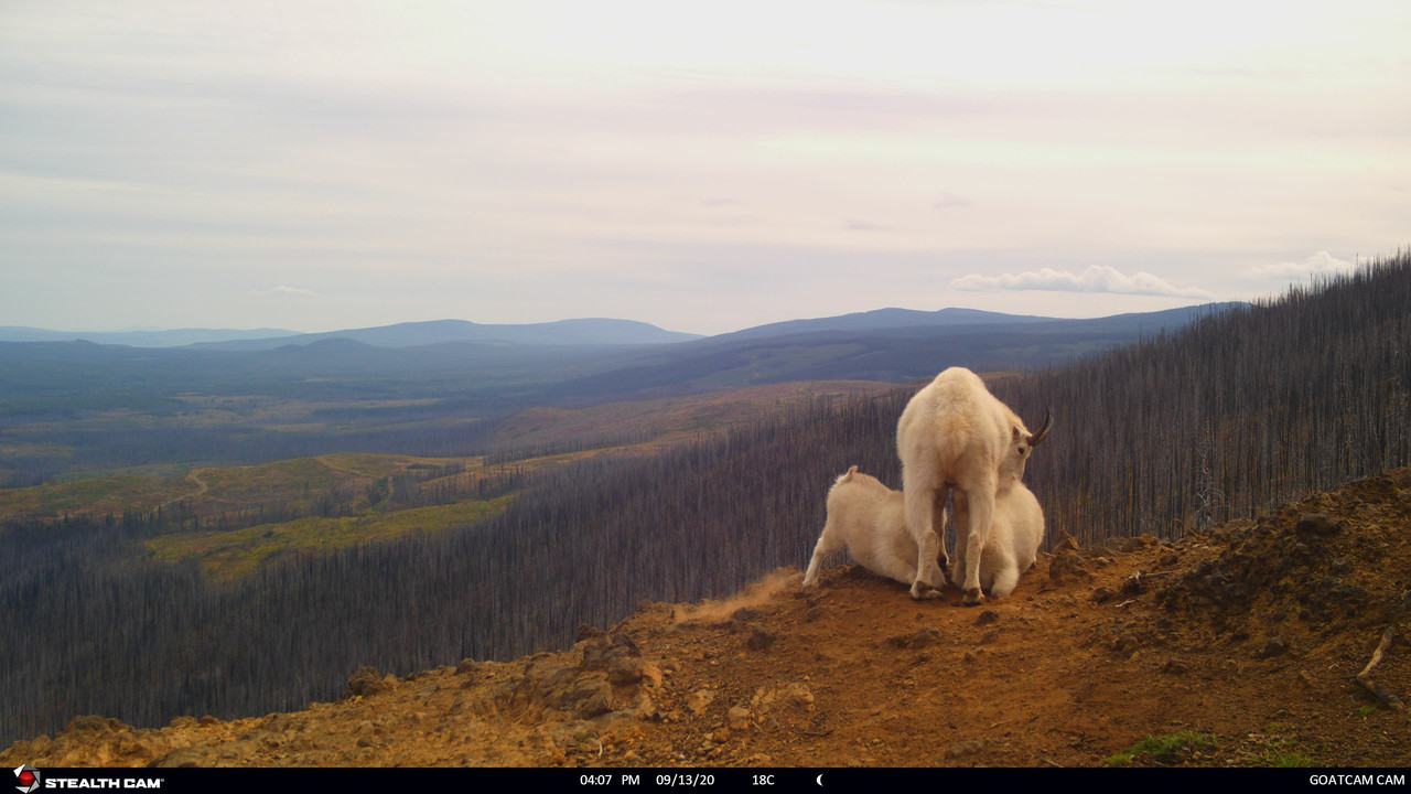 404E066F-3C75-47F1-8A46-355E5A086C7D