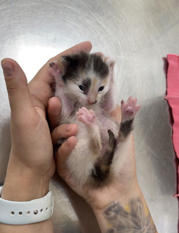 9335C321-FA1B-4BB3-A0D9-59687C316C2F