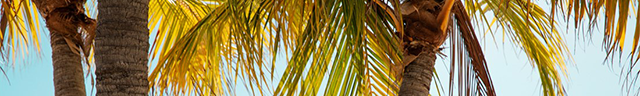 duble-banner-640px.png