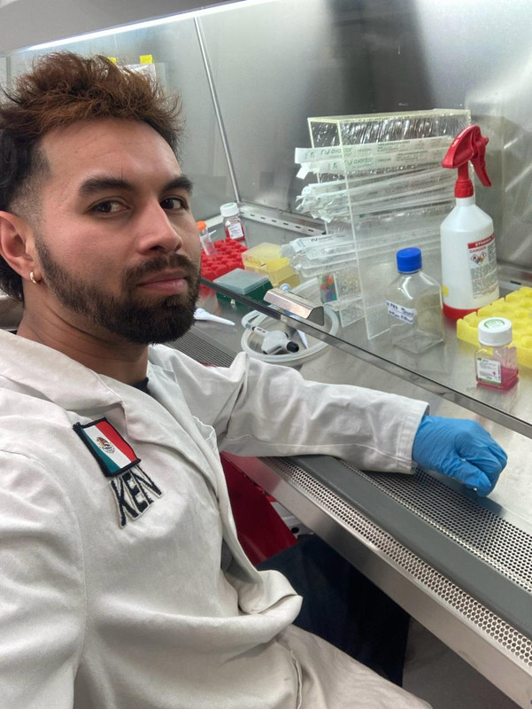 Working in the Biosafety Cabinet - Transfection (April 2025) KG