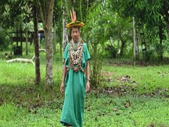 Chaman