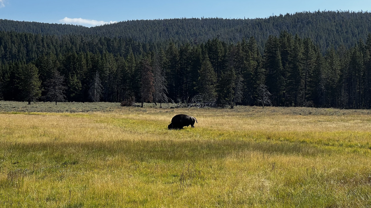 56EACEA2-FC02-4364-B823-1A1E3DA12B64