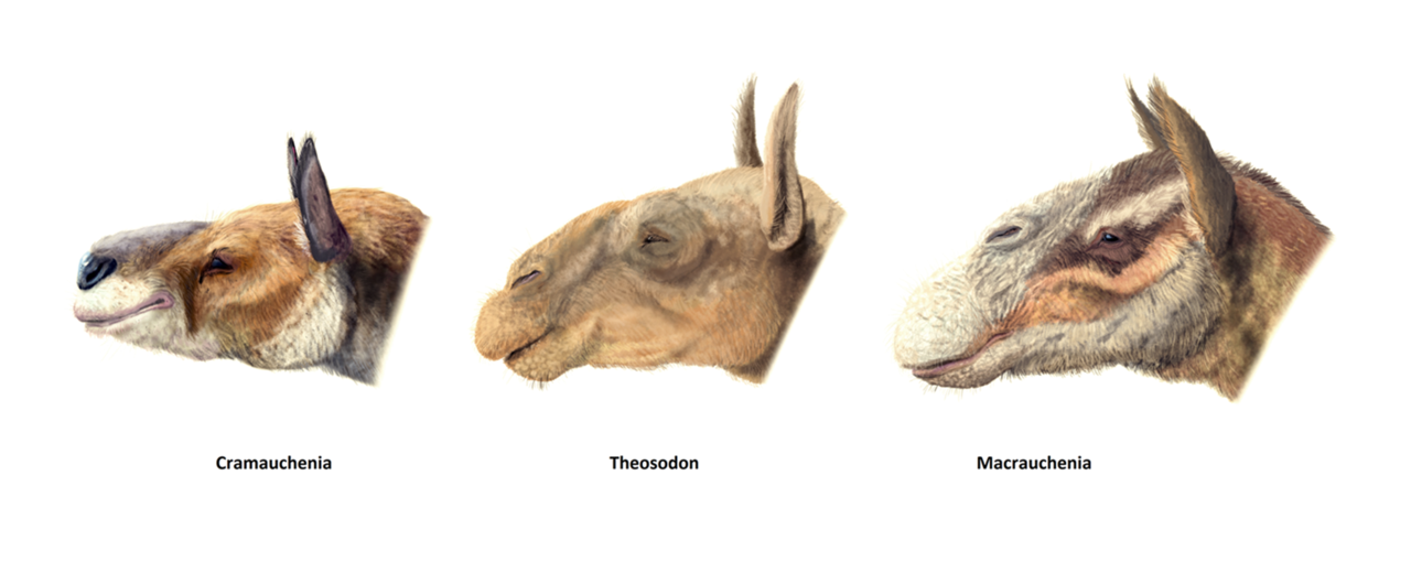 d27d8684ecb9f14476e73cc6c6546cbd