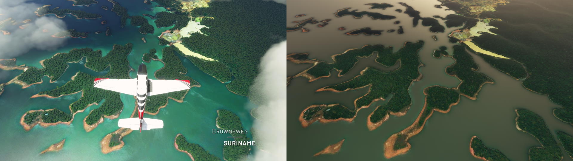 brownsw-eg.jpg