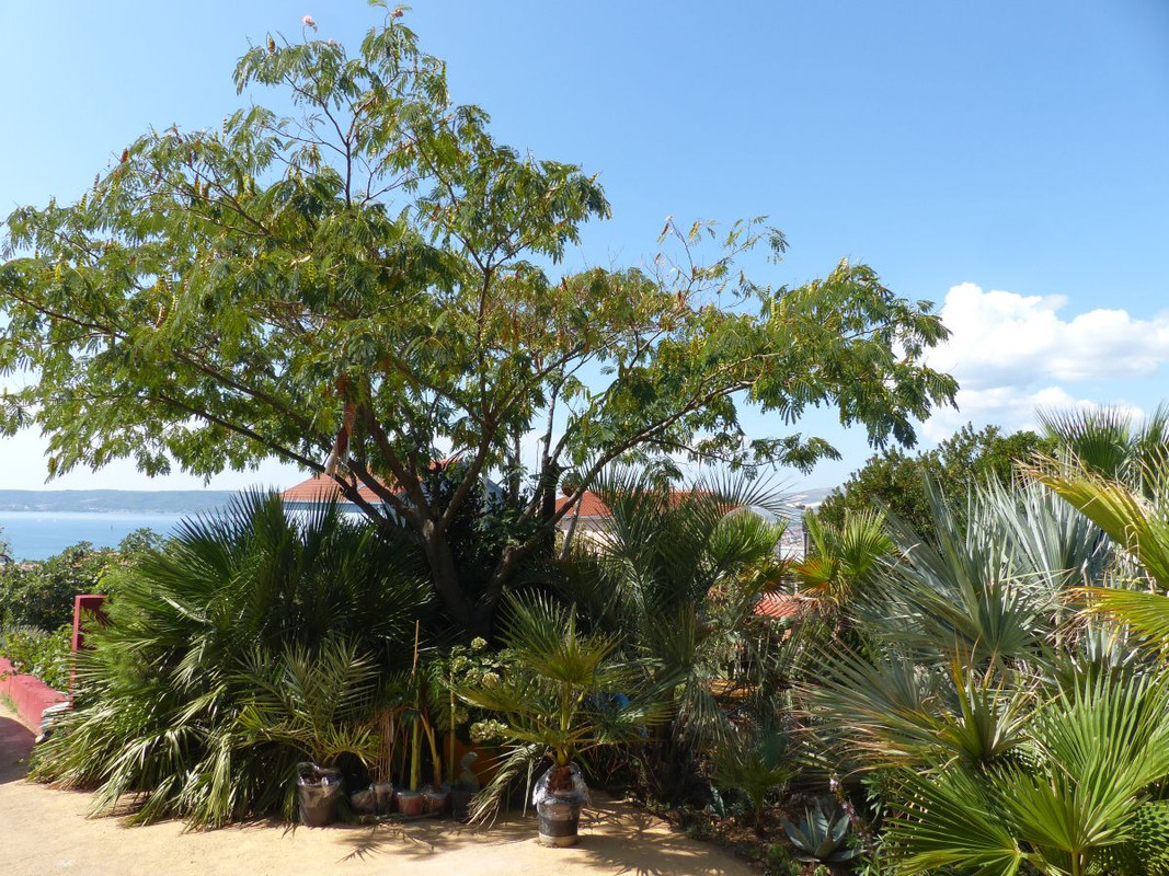 P1240228
