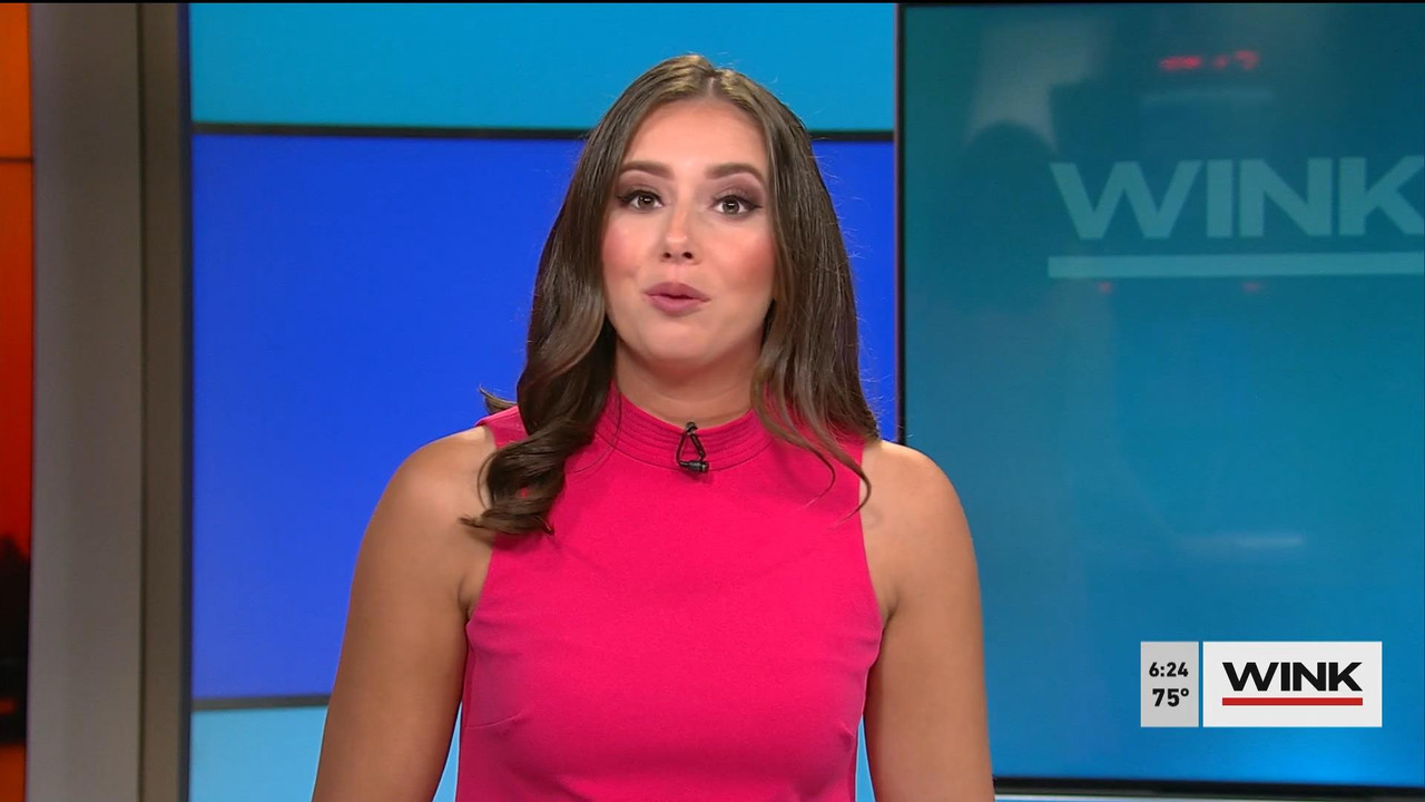 08.15 - 11.00.00 - WINK News @ 6 00AM Sunday. Local news, sports and ....ts_snapshot_00.24.31_[2021.