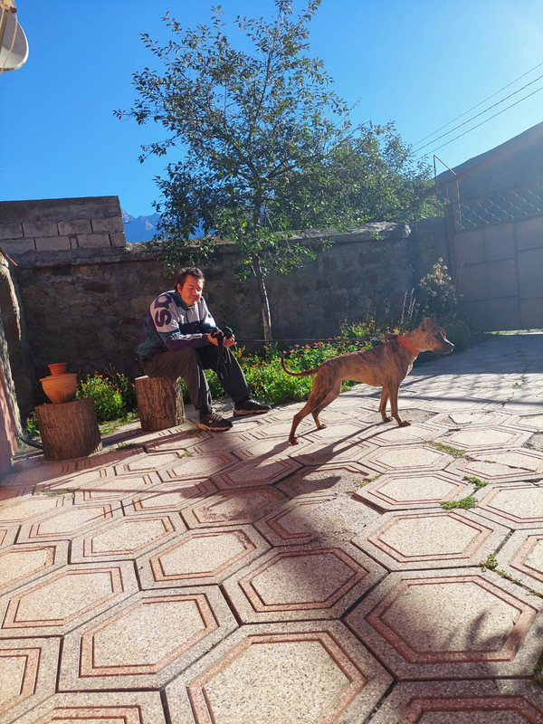 E0781D11-B971-4556-AF4E-36381E107D14