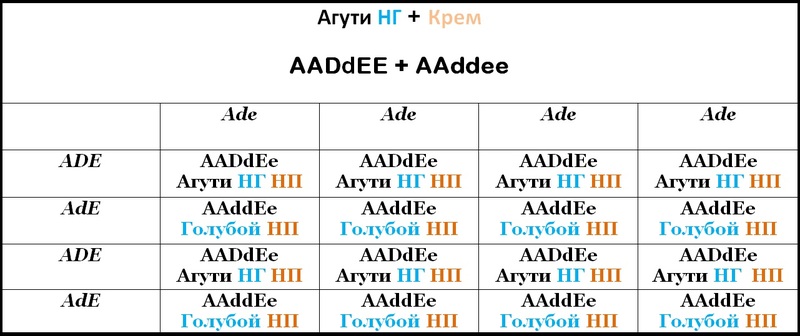Таблица 10