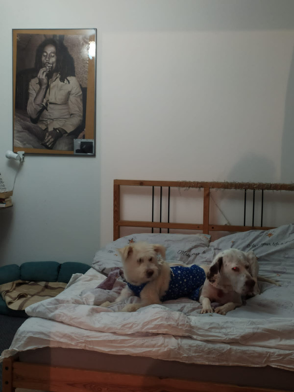 D18356B7-10B8-4EB3-A0FA-AF45BE360D73