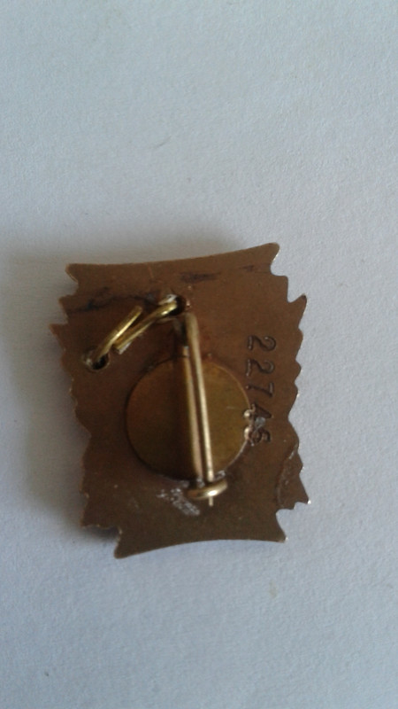 14722045879251952499821