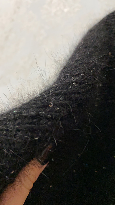 BA425FAE-35E8-45EF-87AE-D4175AD18A44