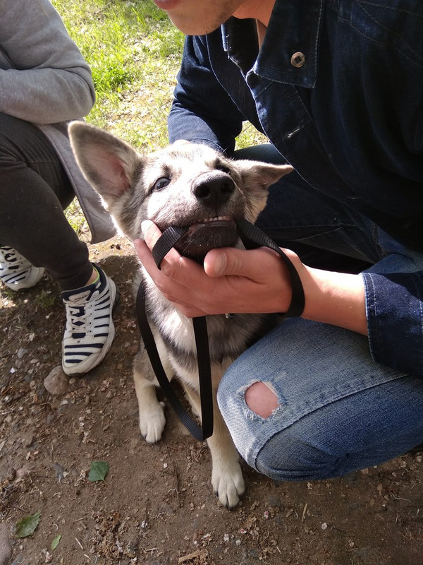 Дженни_05_18_9