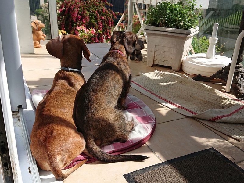 [Image: DSC-2658.jpg]