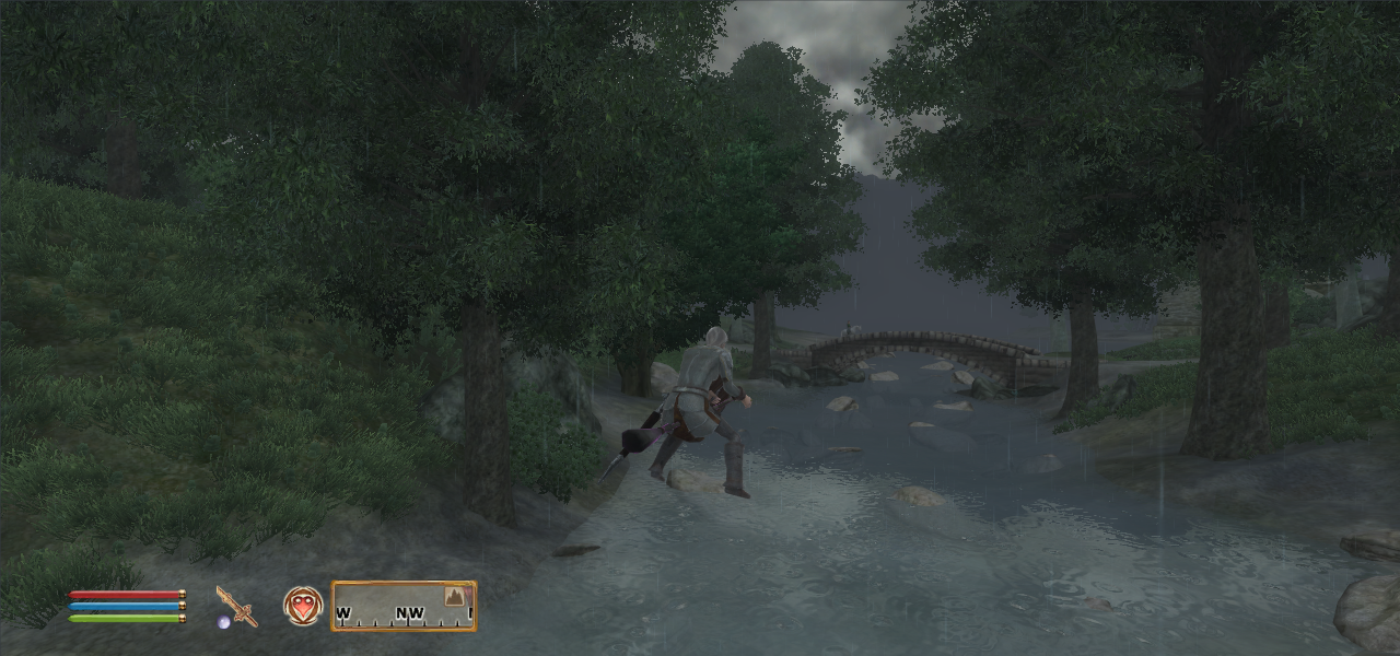 Oblivion 2024-10-05 16-20-03-66