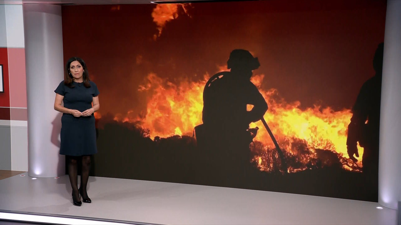 BBC News_20230821_13001330.ts_snapshot_12.49.285