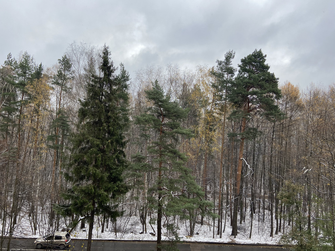 50DFBC60-8BE7-40E3-BF07-1A65E409BA2F