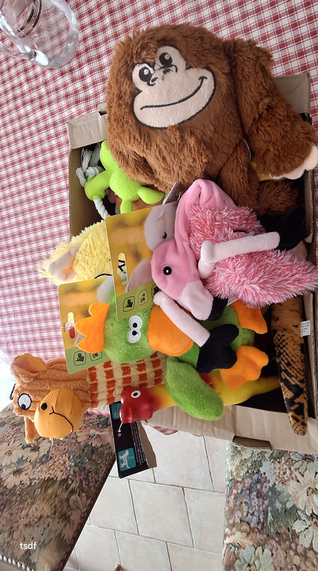 [Image: 20250320-114944.jpg]