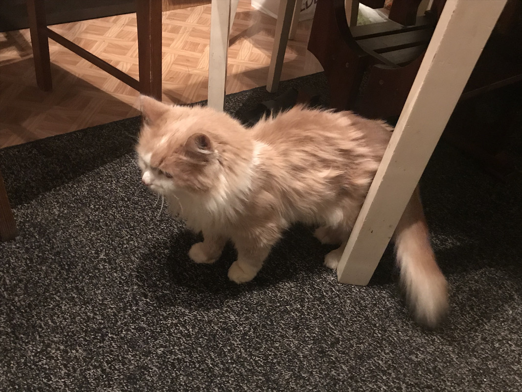 B7DE579E-1D7F-4257-95D2-B4AA2C8A712B