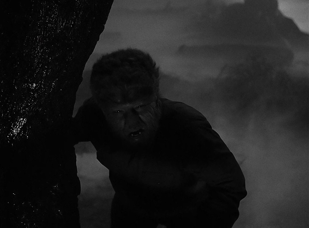 EL HOMBRE LOBO mkv snapshot 01 06 16 883