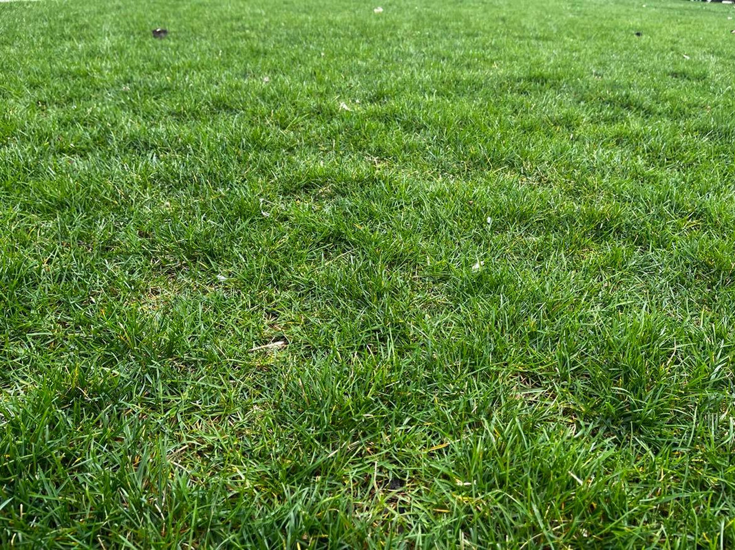 277833629_1689165628097751_4020033534989384913_n