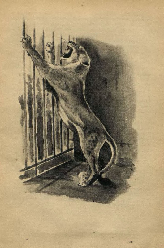 p0057