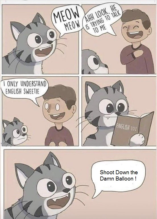 meow2-Balloon.jpg