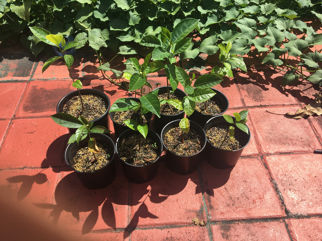 E444122B-0FA2-4CDF-B2E1-B5C140BB2B6E