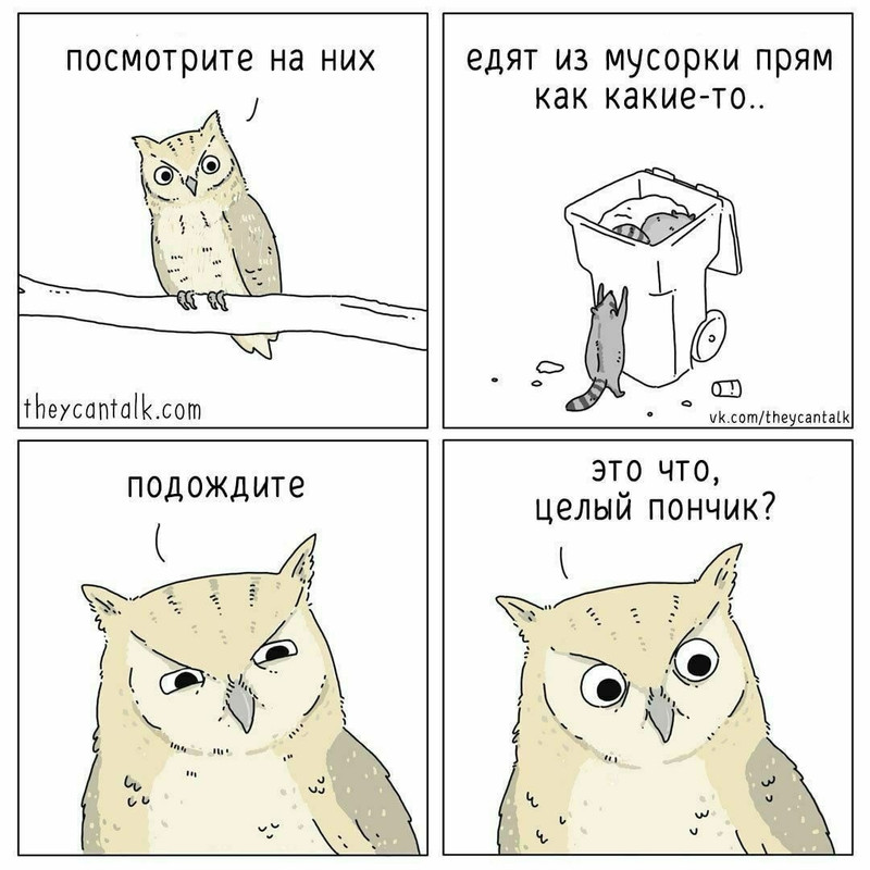 O-0yalc-NA-0.jpg