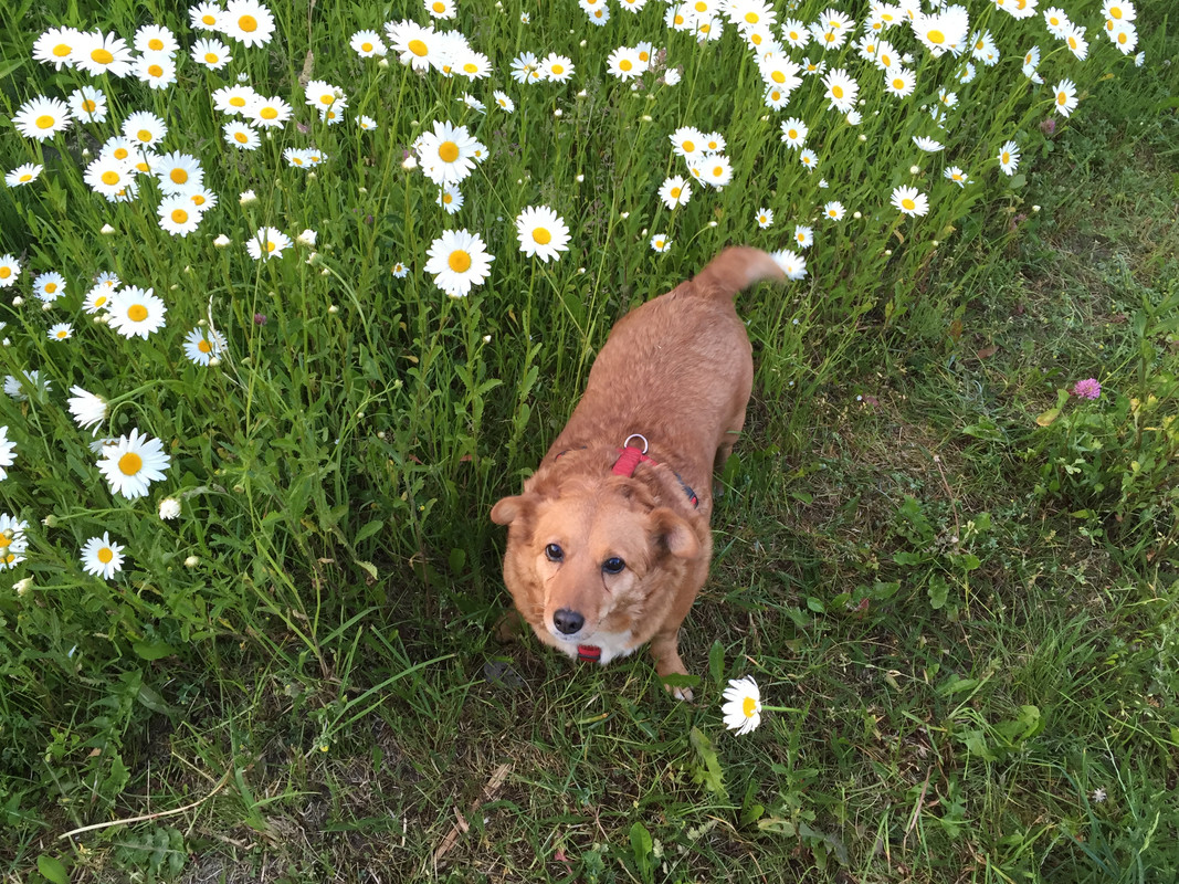 2C144BD1-86E2-45BF-9688-264BD8DEAC5E