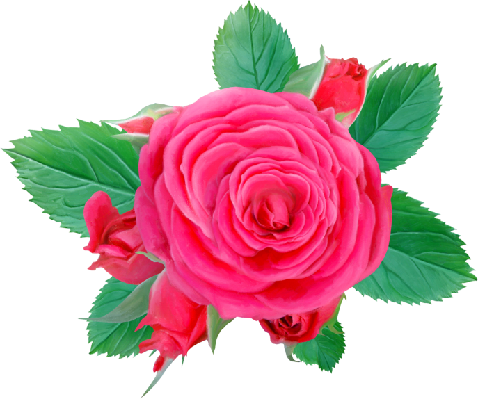 Rose03