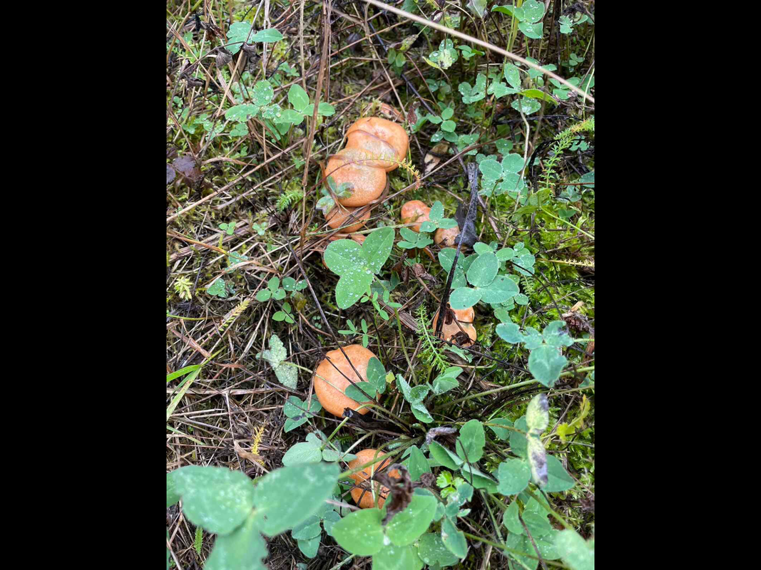 BBCB6C21-3DEB-4D40-A2C8-4A7C4844625E