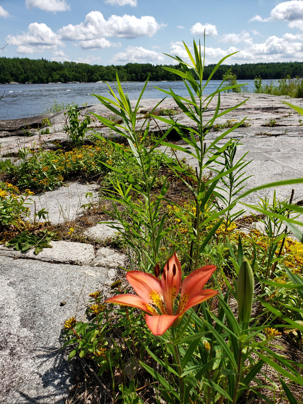 [Image: 20190623-113637.jpg]