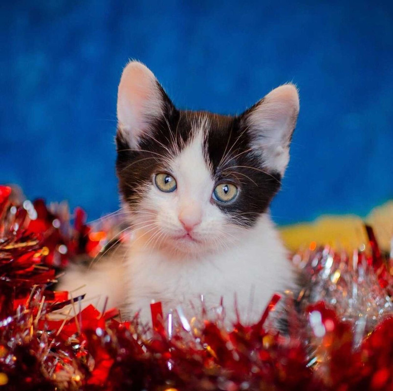 E2DA7FF0-255B-4492-B146-F135B7AC9BA5