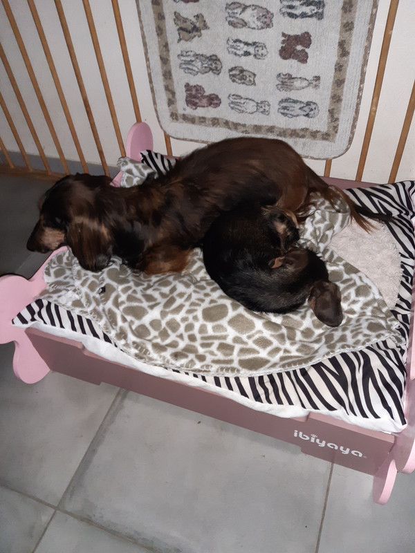 [Image: 20221206-160938.jpg]