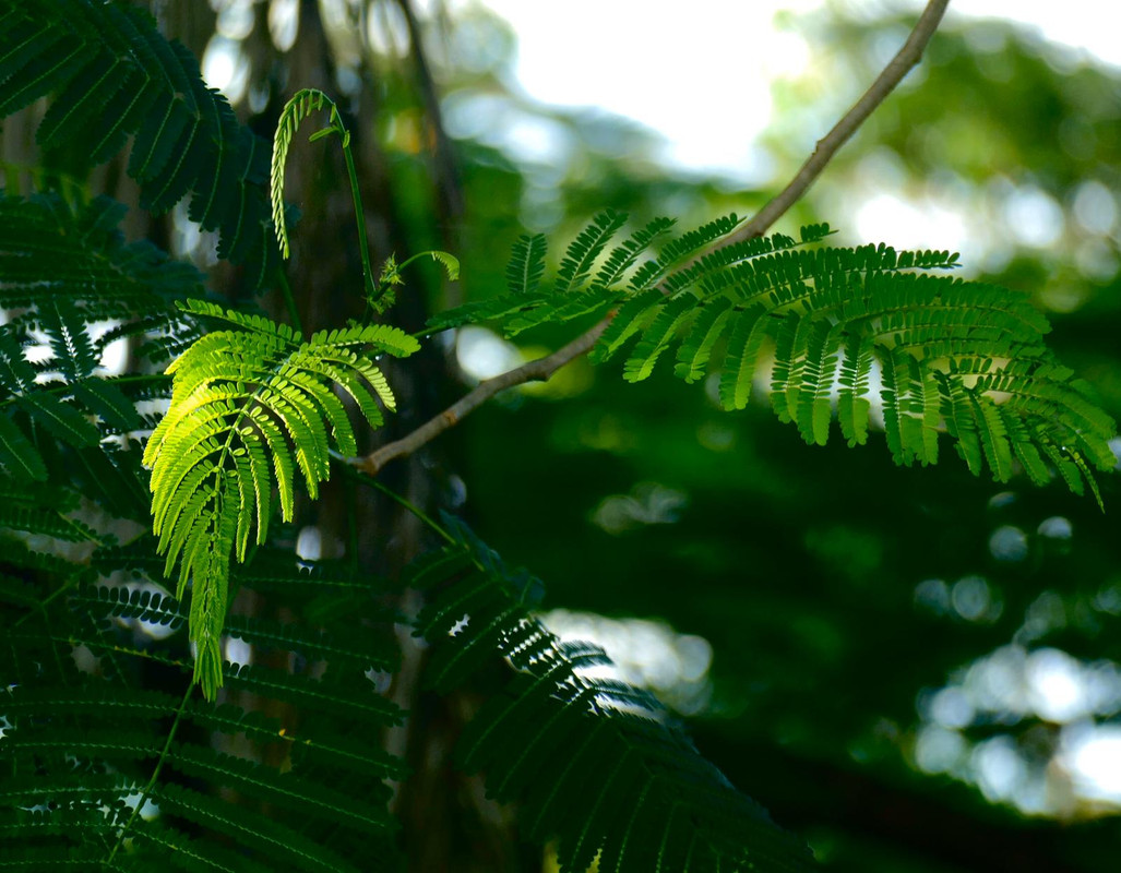 0B72A306-3648-4E88-8D59-F1893000ADD3