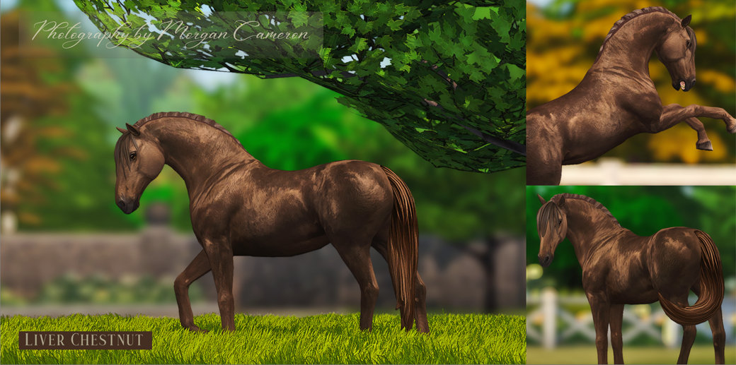 [PW] Expanded Horse Colors - The Sims 4 Pets - CurseForge