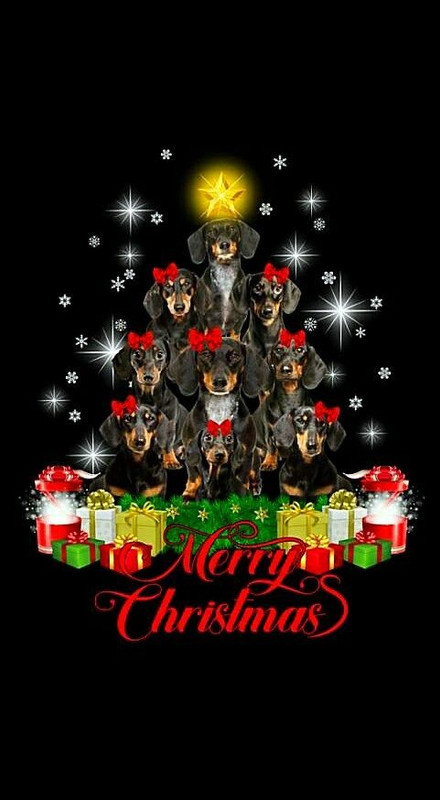 [Image: 0b6618973b7c6f40aeee8aafb4a16e29.jpg]