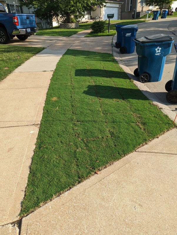 PXL_20220829_134432499